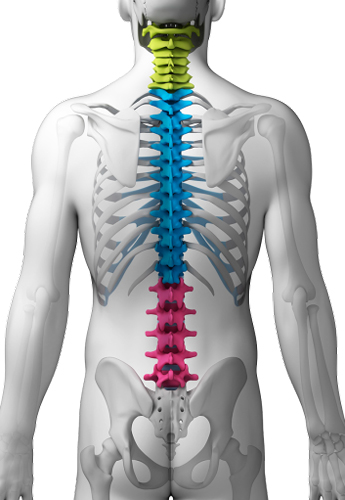 疫情居家隔離期間，如何保護(hù)脊柱及正確鍛煉？速看
