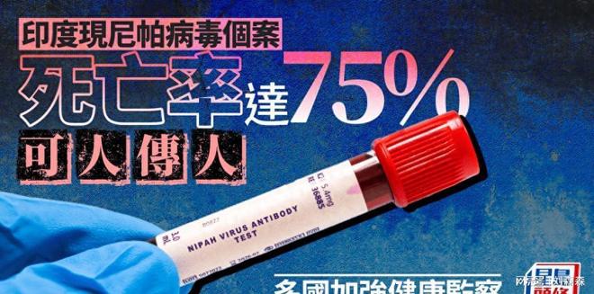 印度現致死率 75%的尼帕病毒，無疫苗特效藥，普通人咋防？